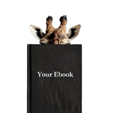 E-book